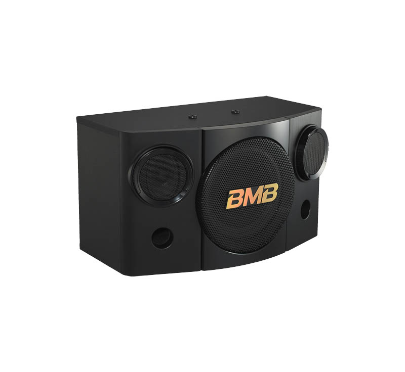 Loa BMB CSE 308 (SE)