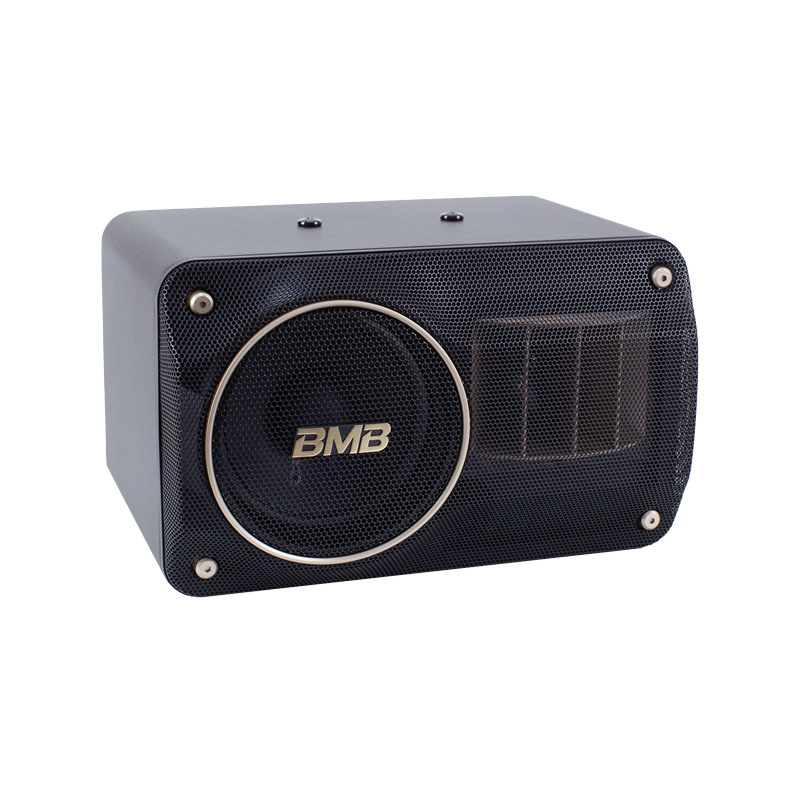 Loa BMB CSJ 210 (SE)