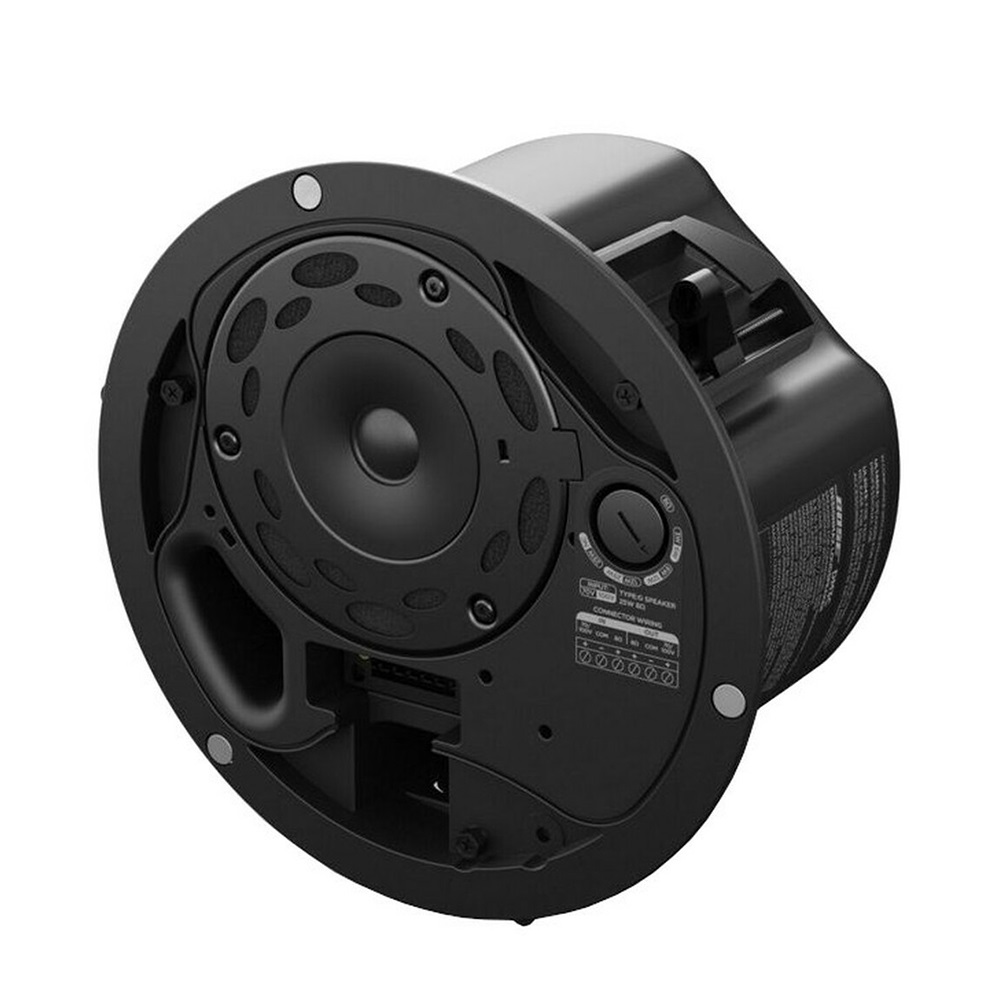 Loa Bose DesignMax DM3C