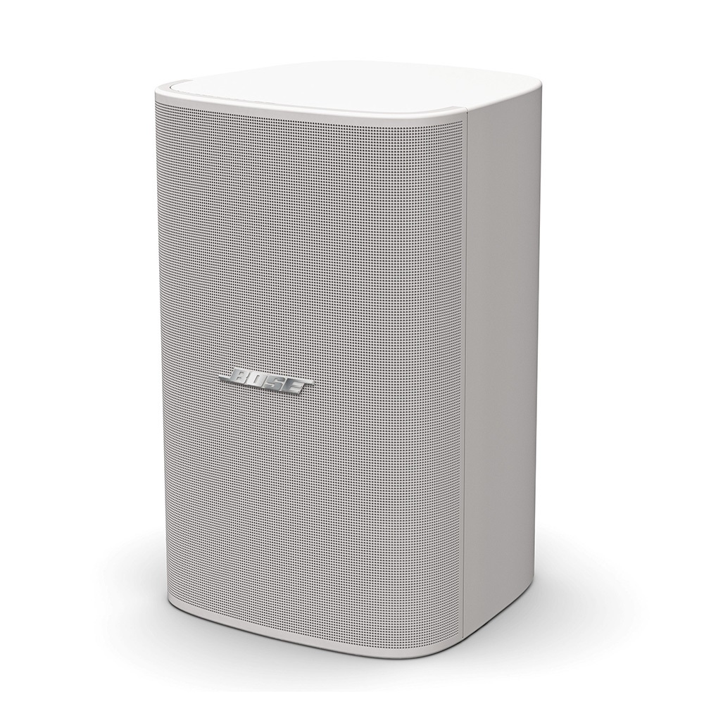 Loa Bose DesignMax DM8S