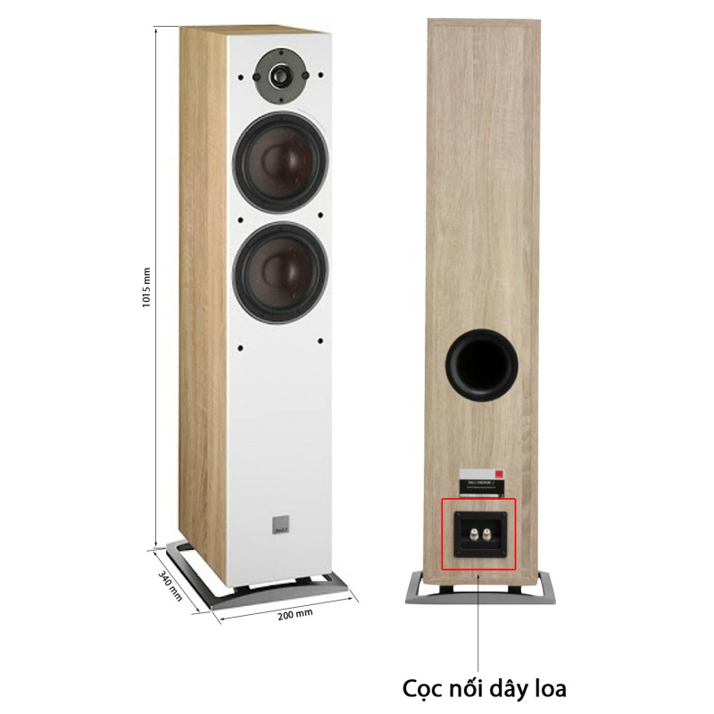 Loa Dali Oberon 7