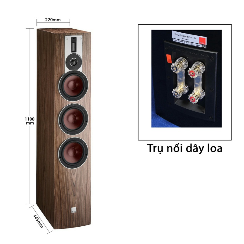 Loa Dali Rubicon 8