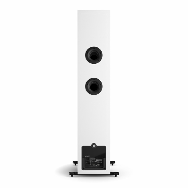 Loa Dali Callisto 6 C