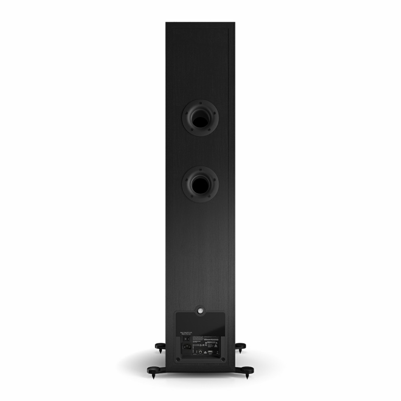 Loa Dali Callisto 6 C