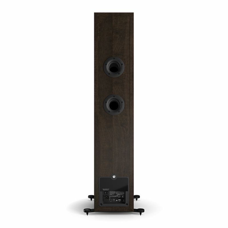 Loa Dali Callisto 6 C