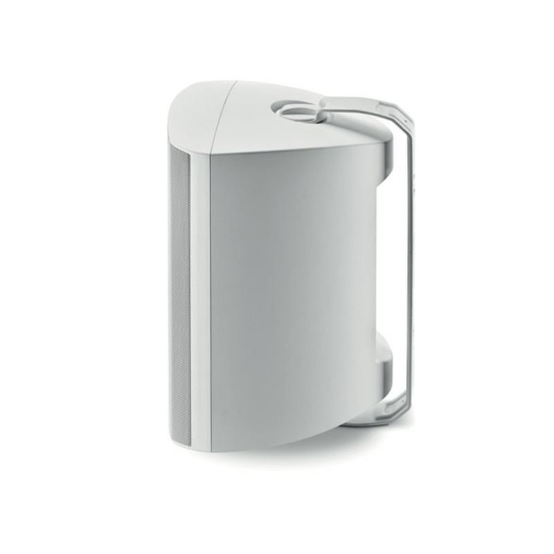 Loa Focal Outdoor 100 OD8