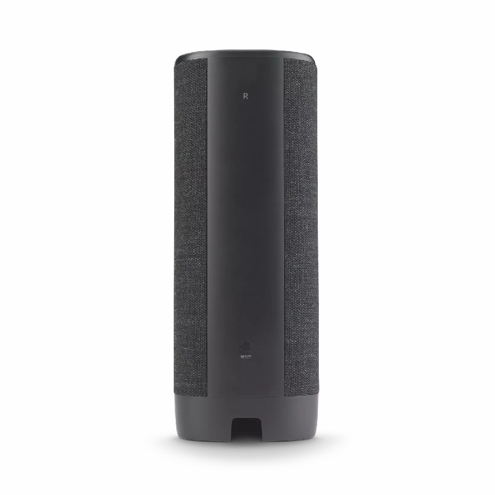 Loa Harman Kardon Citation Surround