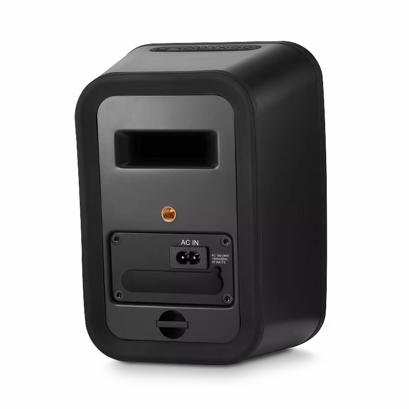 Loa JBL Control X Wireless