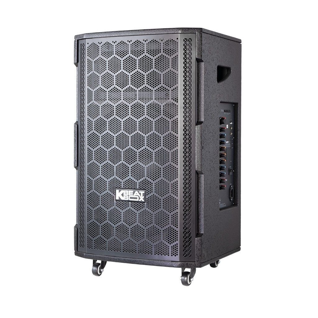 Loa karaoke di động Acnos 15S5