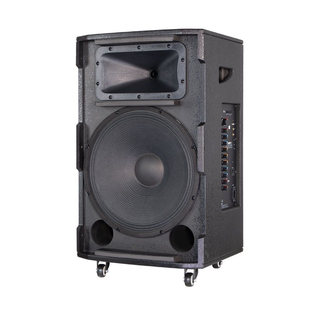 Loa karaoke di động Acnos 15S5