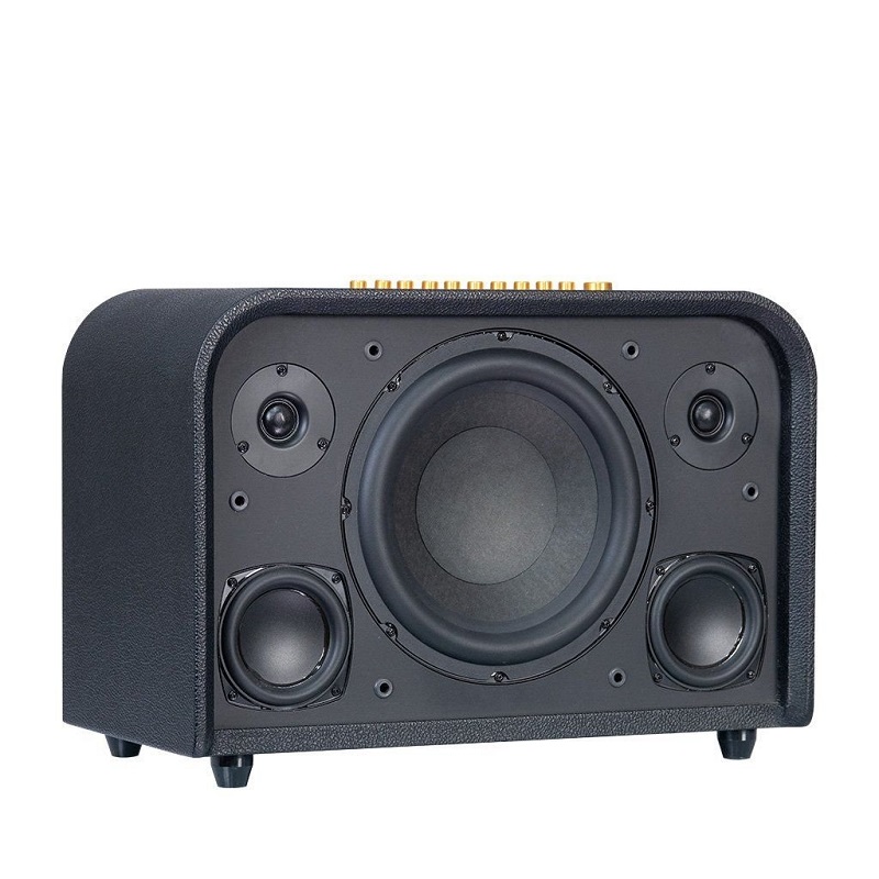 Loa karaoke Acnos Acoustic 3