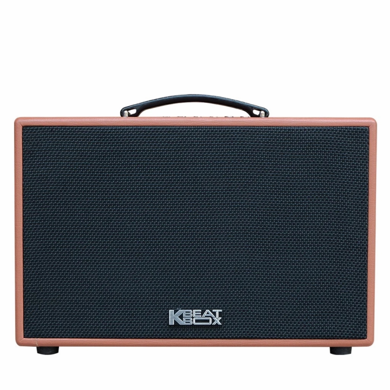 Loa Karaoke mini xách tay ACNOS CS200PU