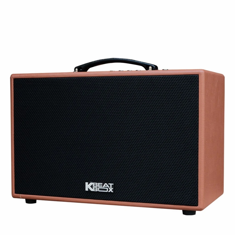 Loa Karaoke mini xách tay ACNOS CS200PU