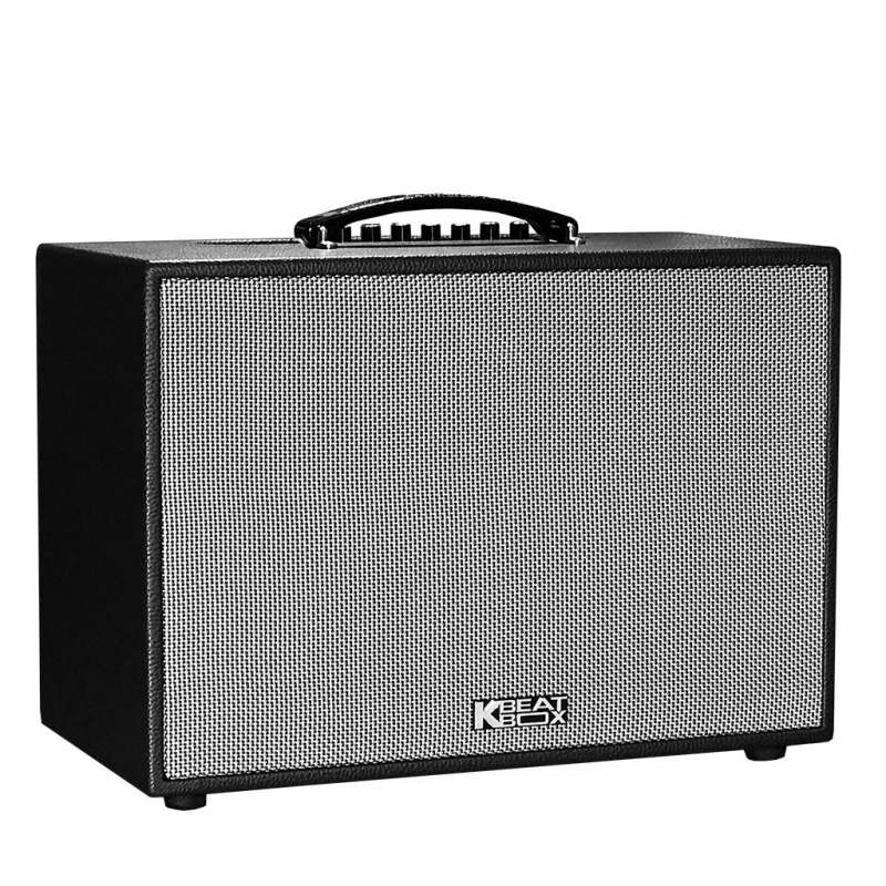 Loa Karaoke mini xách tay ACNOS CS200PU