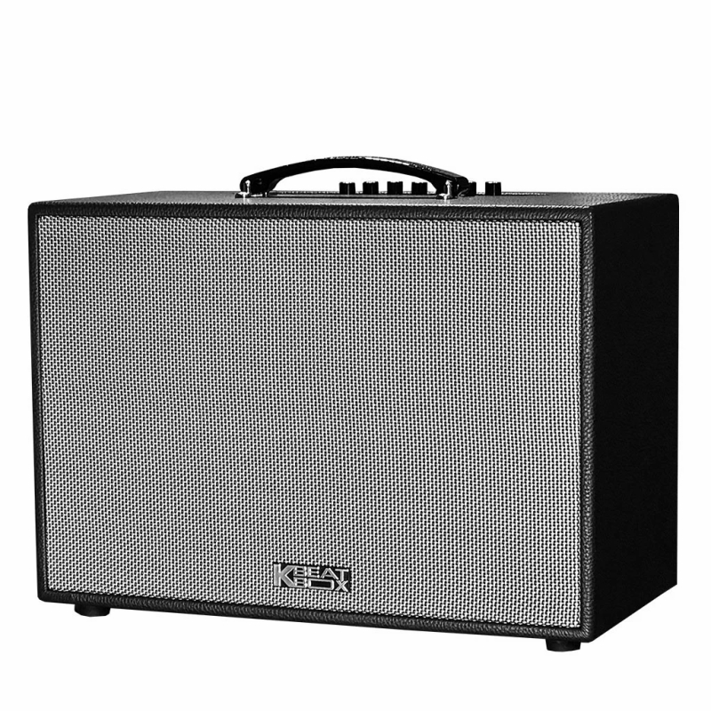 Loa Karaoke mini xách tay ACNOS CS200PU