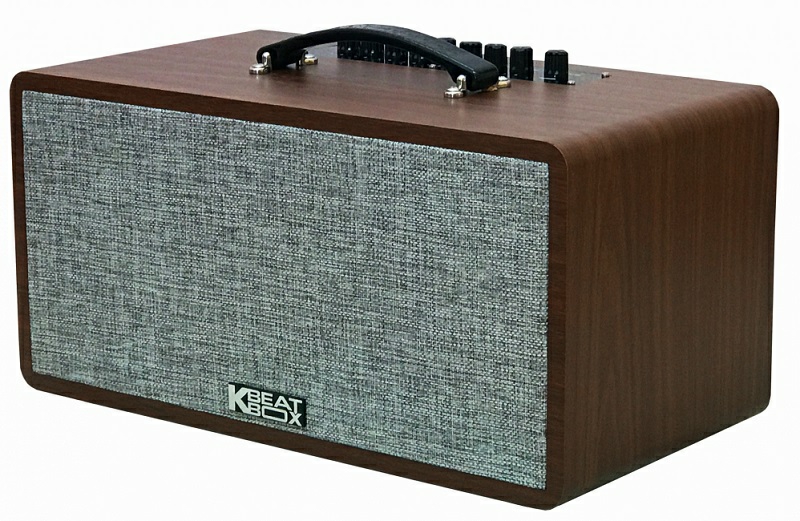 Dàn loa Karaoke di động Acnos CS390