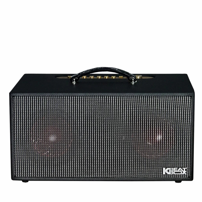 Dàn loa Karaoke di động Acnos CS450