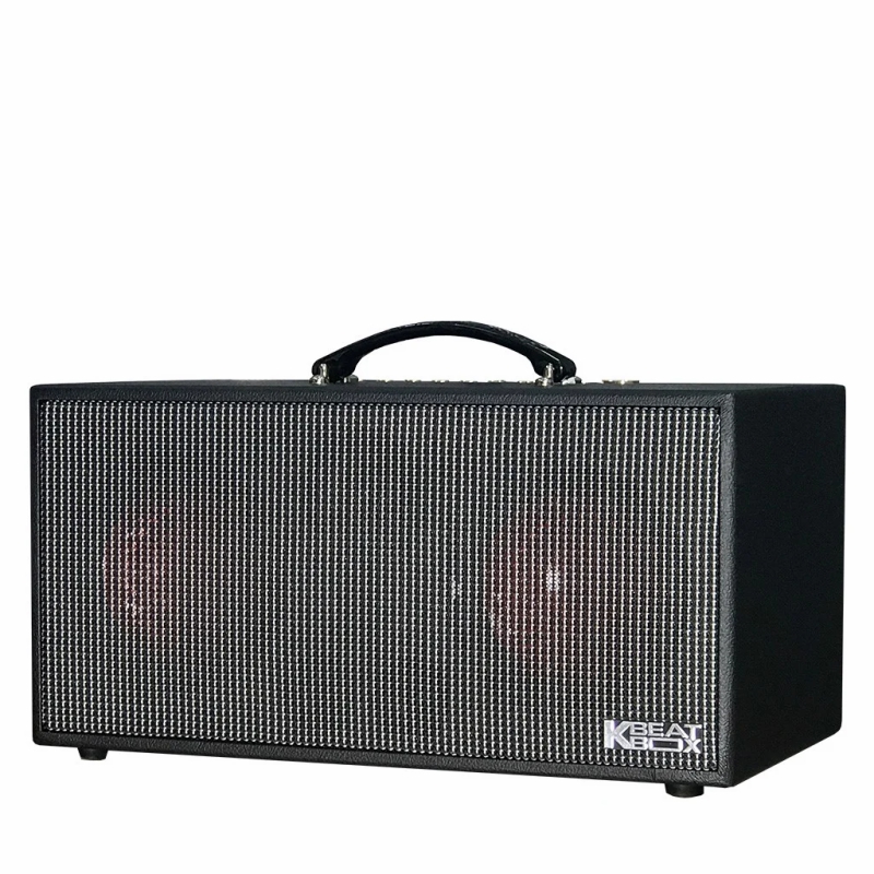 Dàn loa Karaoke di động Acnos CS450