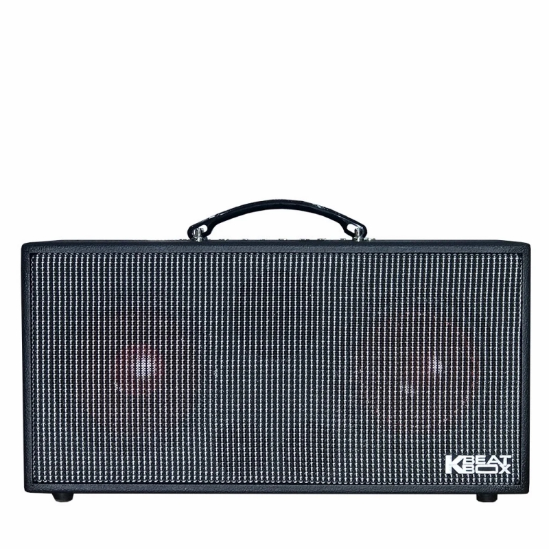 Dàn loa Karaoke di động Acnos CS450