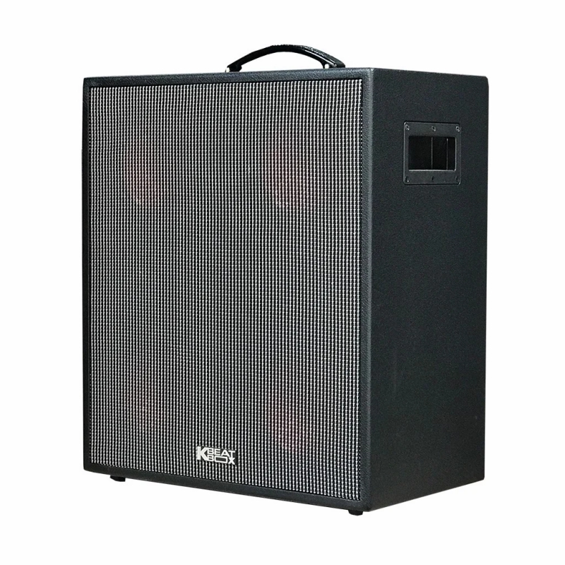 Dàn loa Karaoke di động Acnos CS550