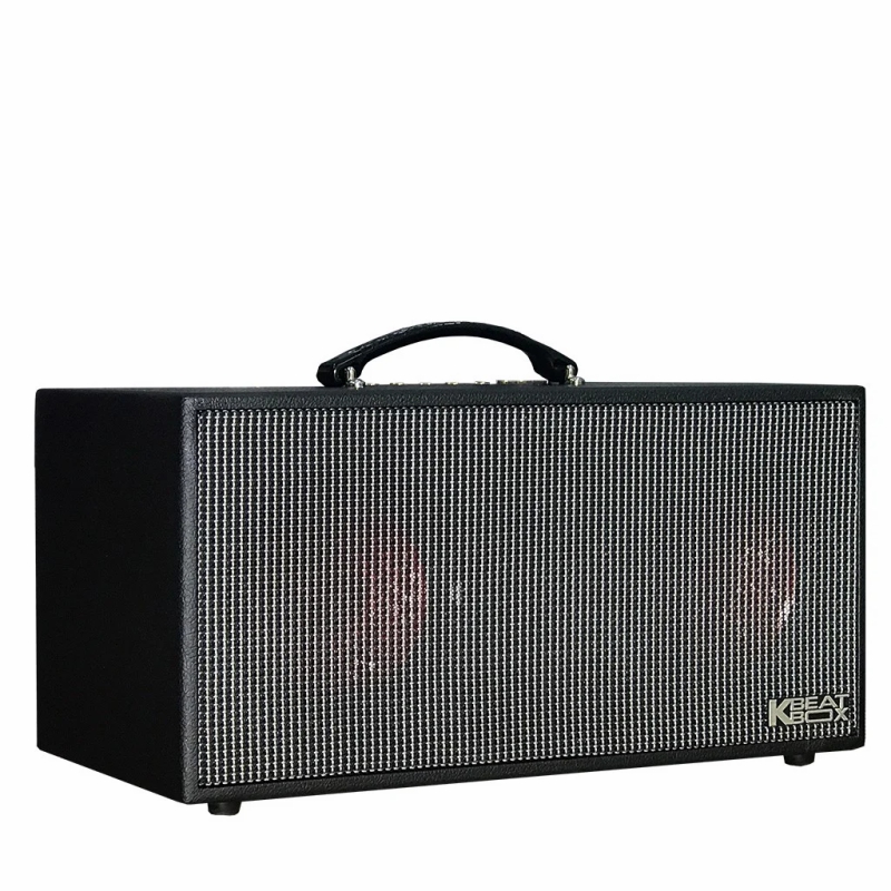 Dàn loa Karaoke di động Acnos KSnet450