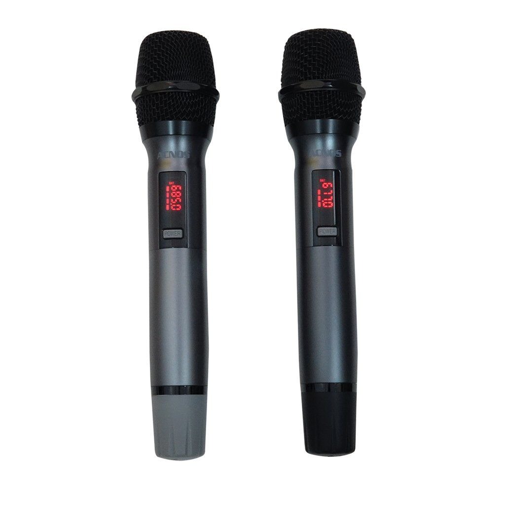 Loa karaoke di động Acnos 15S1