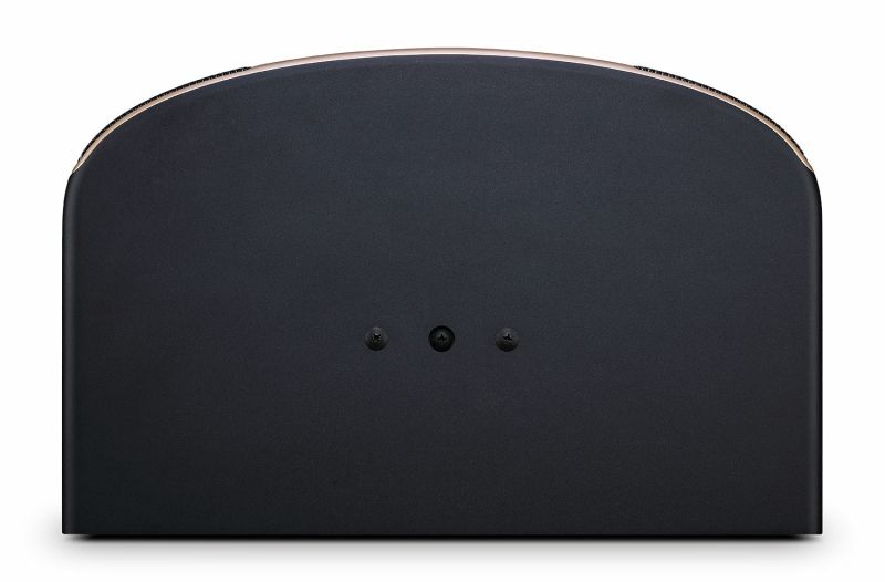 Loa JBL Pasion 10