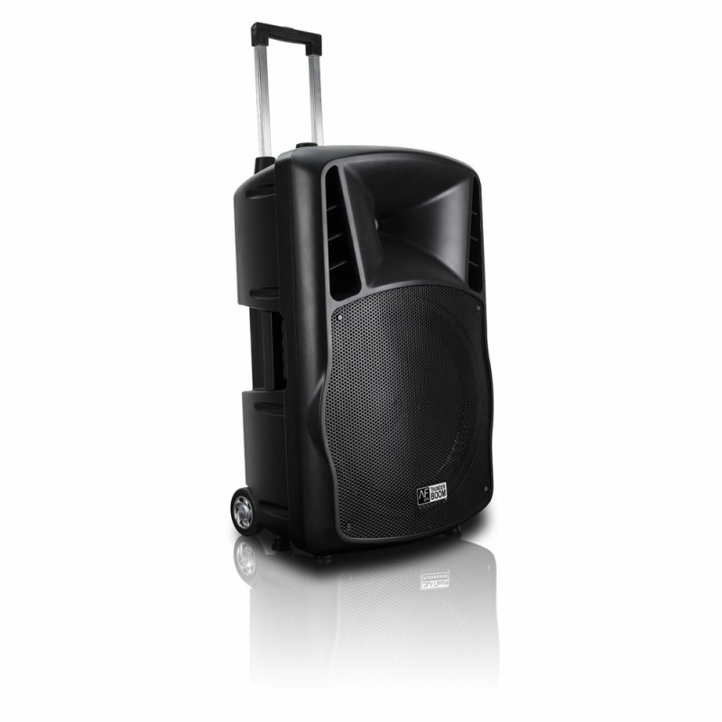 Loa AudioFrog Pro P15