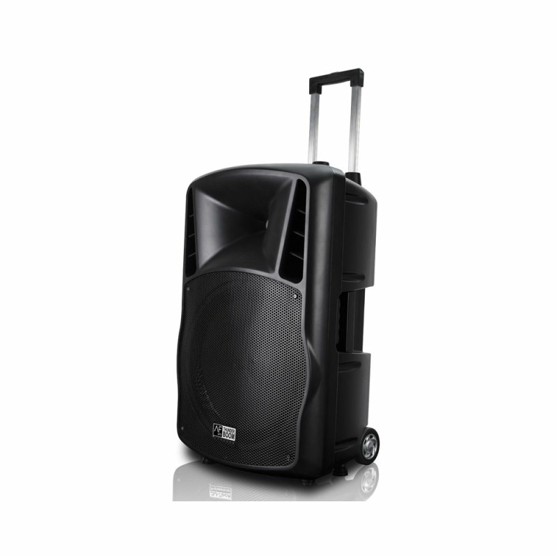 Loa AudioFrog Pro P15