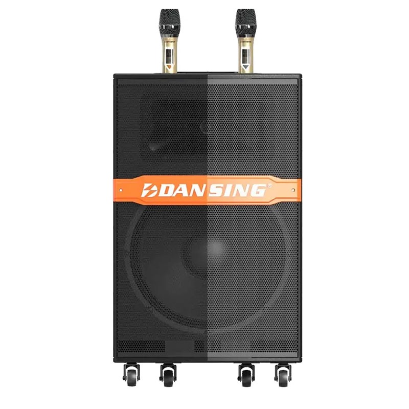 Loa Paramax Dansing HK-396S