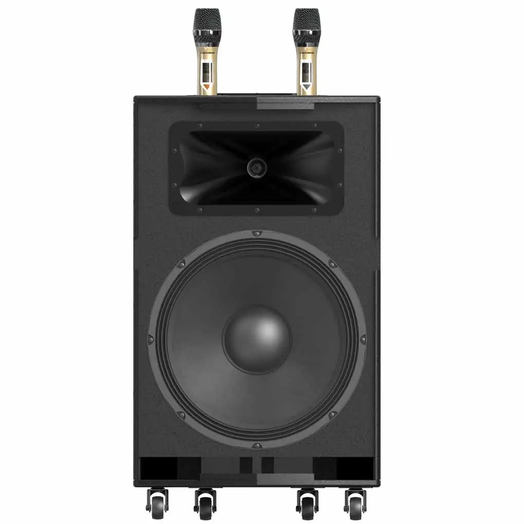 Loa Paramax Dansing HK-396S