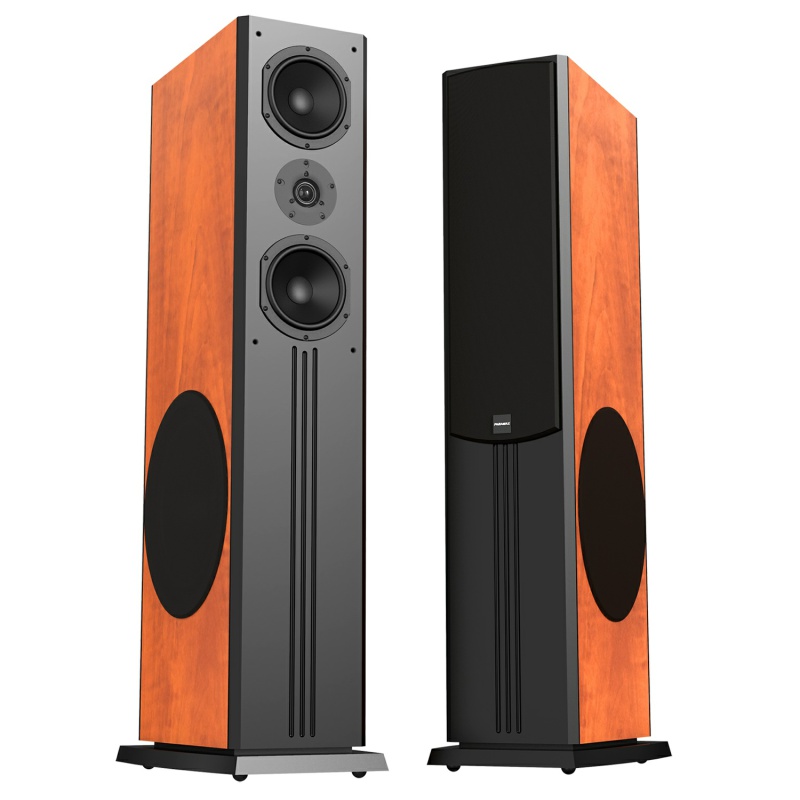 Loa Paramax D88 Limited - 4