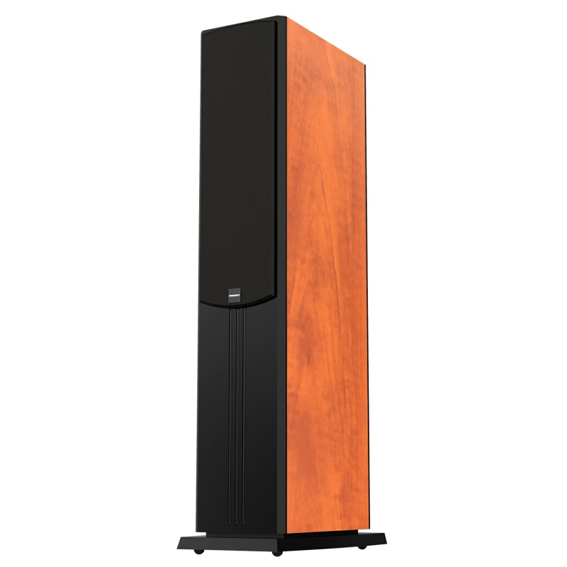 Loa Paramax D88 Limited - 4