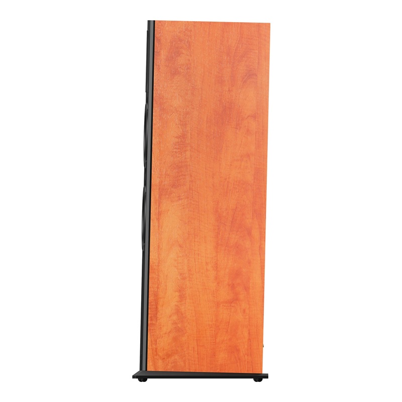 Loa Paramax Euro 1002 Limited