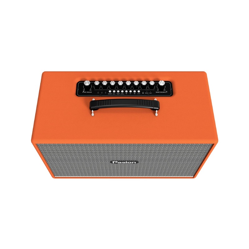 Loa Paramax Pasion Enzo