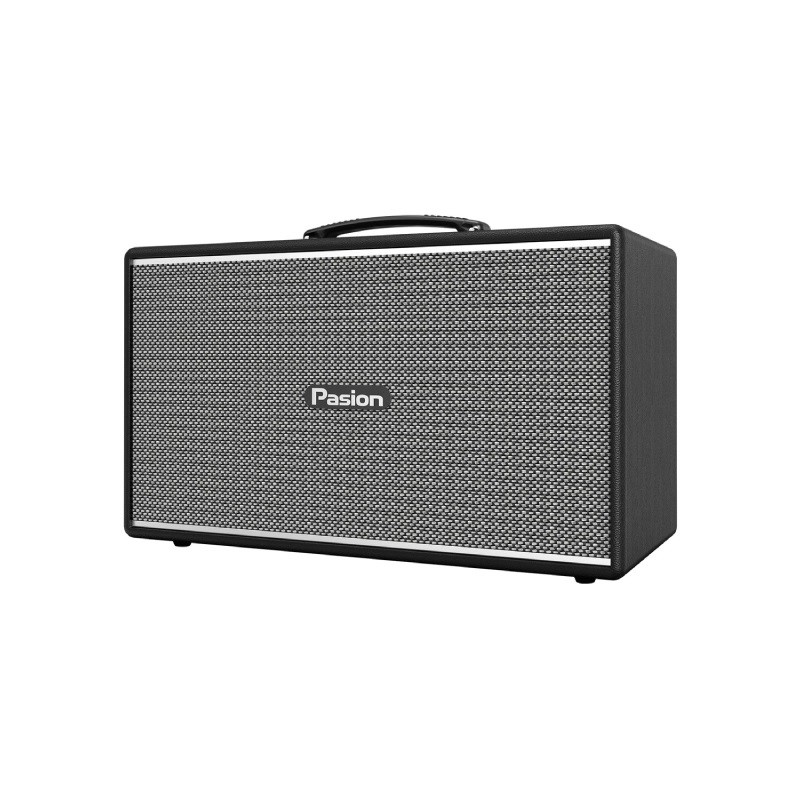 Loa Paramax Pasion Enzo