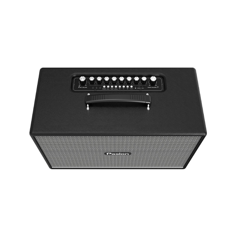 Loa Paramax Pasion Enzo