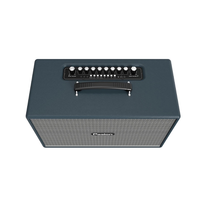 Loa Paramax Pasion Enzo