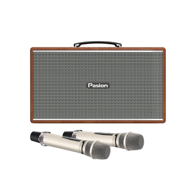 Loa Paramax Pasion Enzo