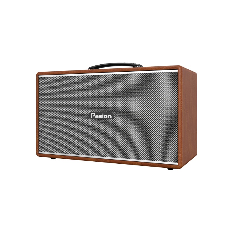 Loa Paramax Pasion Enzo