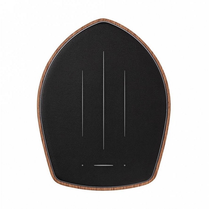 Loa Sonus Faber Duetto