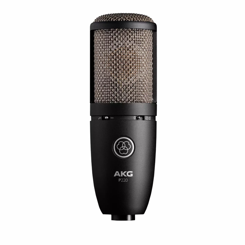 Micro AKG P220