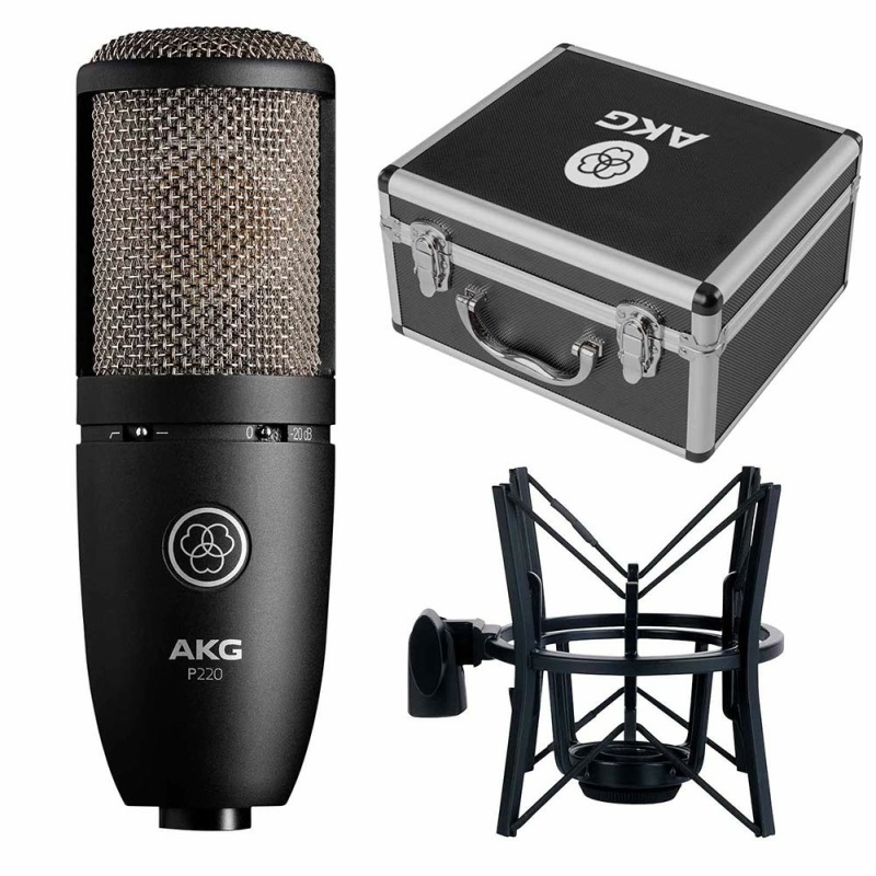 Micro AKG P220