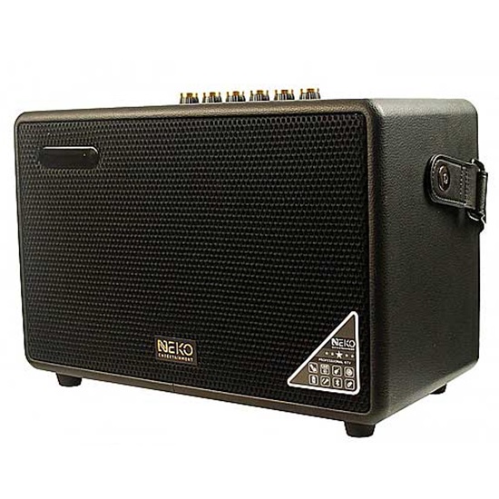 Loa NEKO NK02