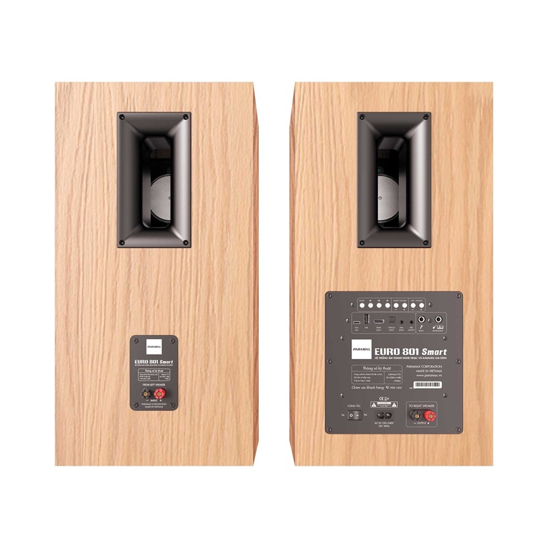 Loa Paramax Euro 801 Smart