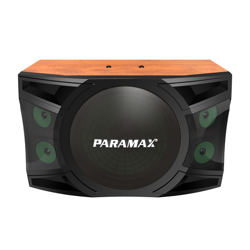Loa Paramax P-2500