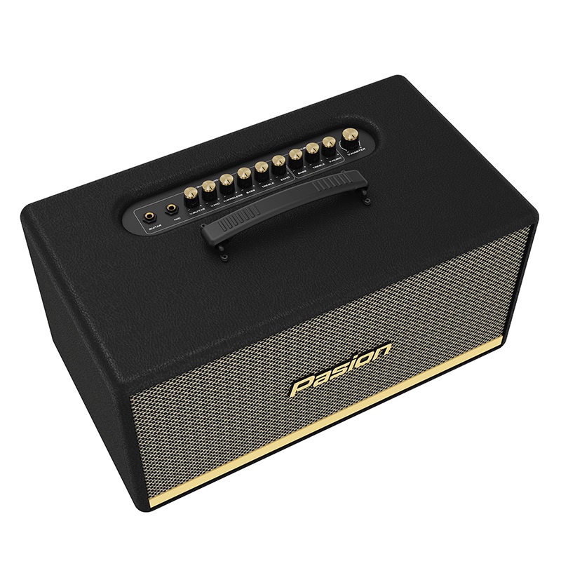 Loa Paramax Pasion 2