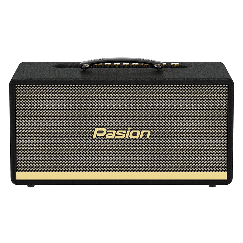 Loa Paramax Pasion 2