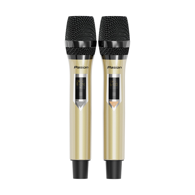 Loa Paramax Pasion 2