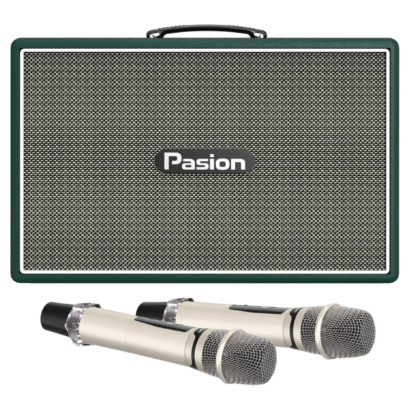 Loa Paramax Pasion Outro